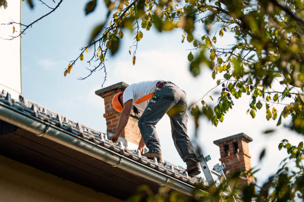 Best Storm Damage Roof Repair  in Claypool Hill, VA